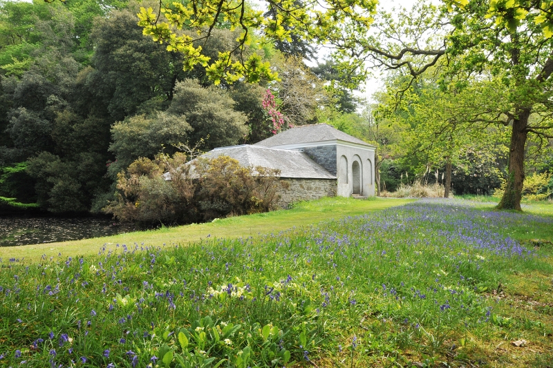 Antony Woodland Garden & Woodland Walk